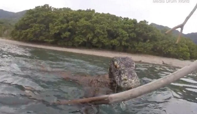 Επική μάχη φωτογράφου με δράκους του Κομόντο που ήθελαν να ανέβουν στη βάρκα του (βίντεο)